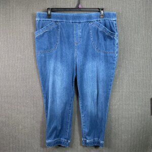 Logo Lori GoldsteinWomens Size 18P Blue Pull-On Jogger Pants Elastic Waistband